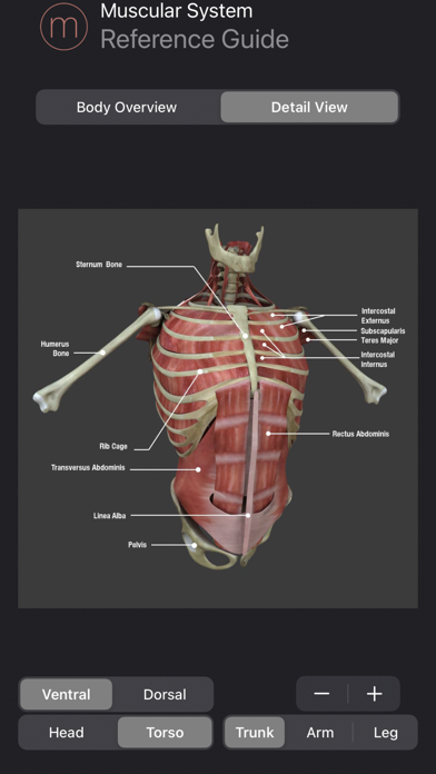 Human Anatomy Study Guide Screenshot