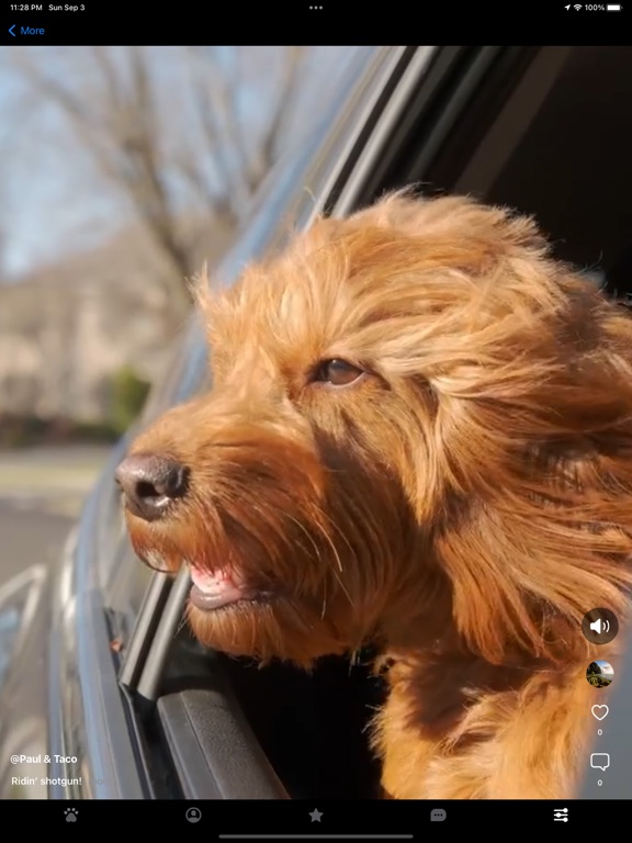 Pak Social iPad screenshot 6 - Social Networking app