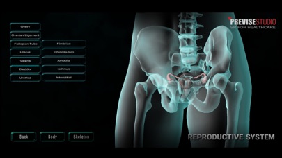3D Human Anatomy Basic Screenshot