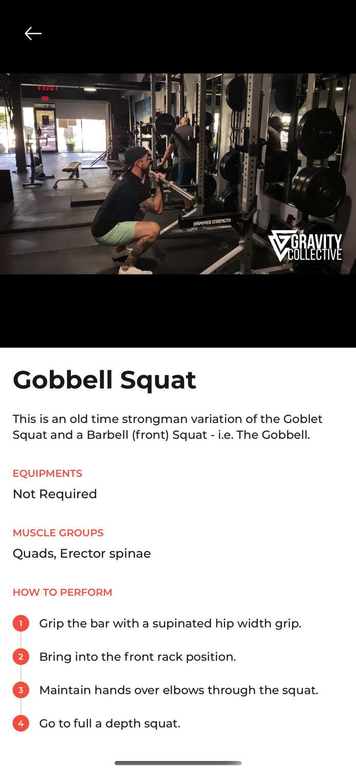 The Gravity Collective