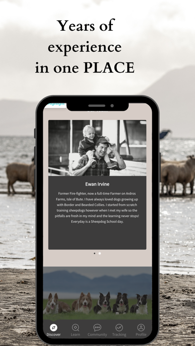 Sheepdog School Screenshot