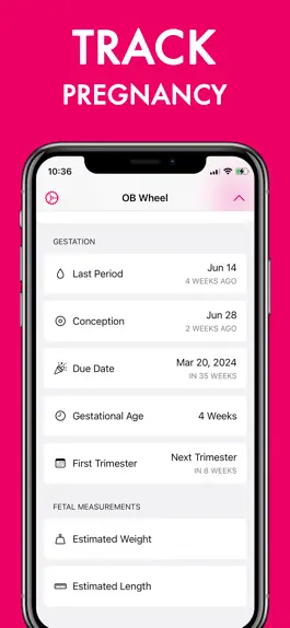 Game screenshot OB Wheel for Pregnancy apk