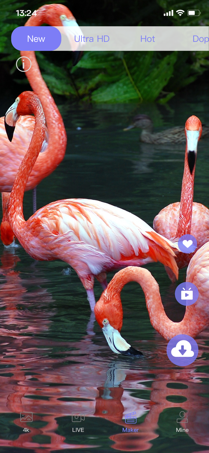 Live Wallpaper Light