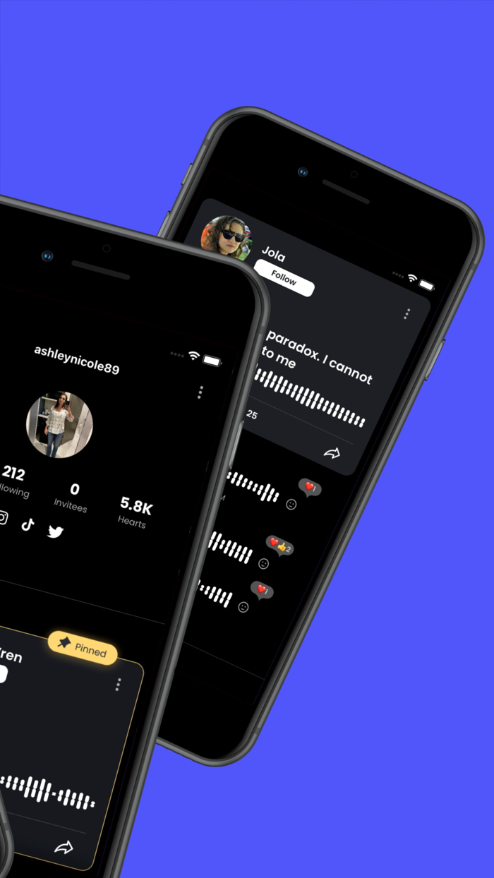 Soundwave Voice Your Feelings