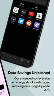 instabridge web browser iphone screenshot 2