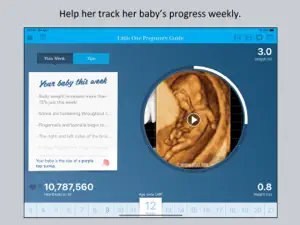 Little One Pregnancy Guide screenshot #4 for iPad