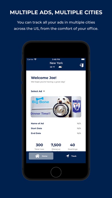 USA Cab Ads Screenshot
