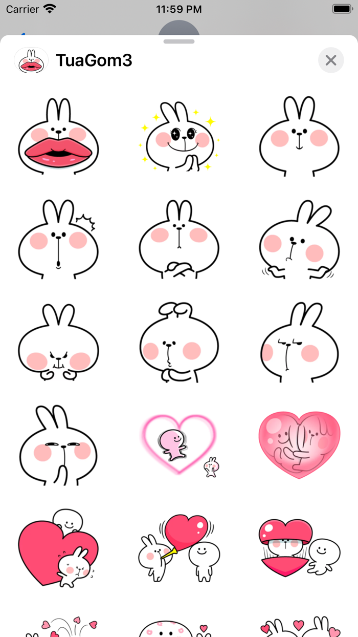 TuaGom Cute Rabbit Pack3