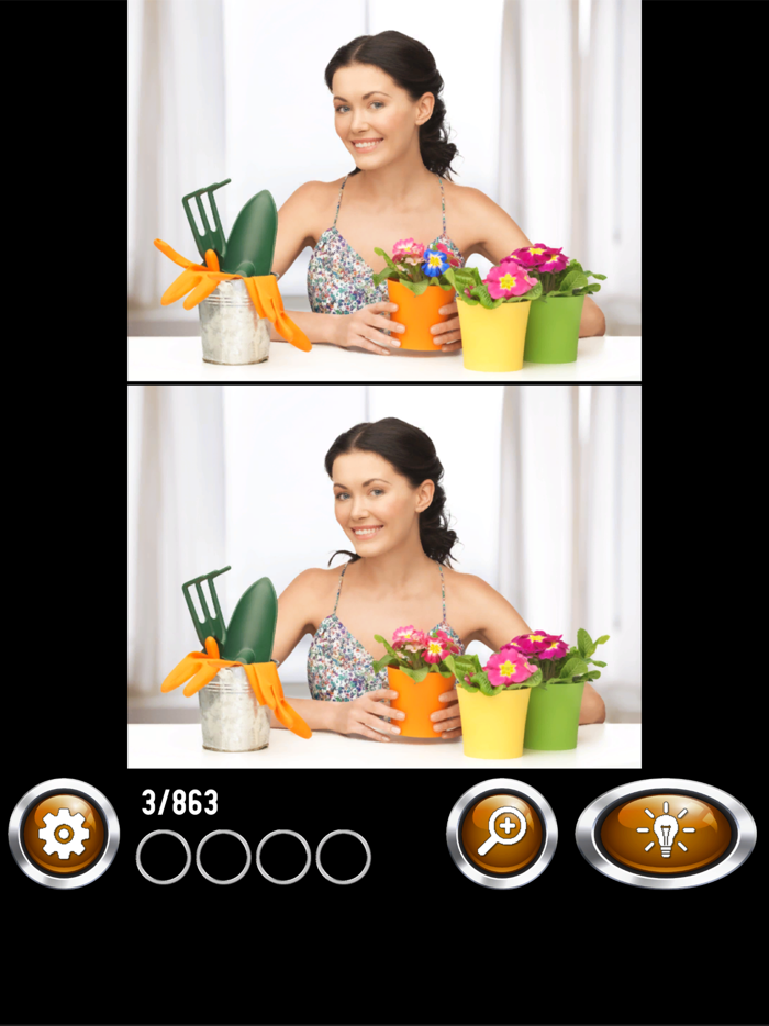 Find The Difference - Hobby