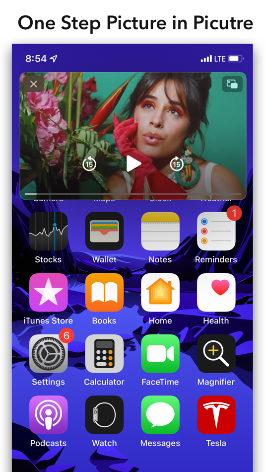 #1. Easy PIP for Safari (iOS) By: Dongwook Cho