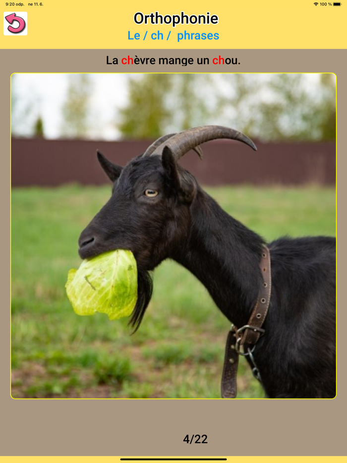 Orthophonie  exercices