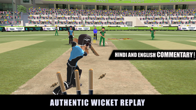 RVG Cricket Game: Cricket Lite Screenshot