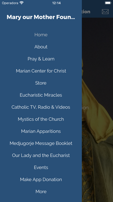 Mary Our Mother Foundation Screenshot