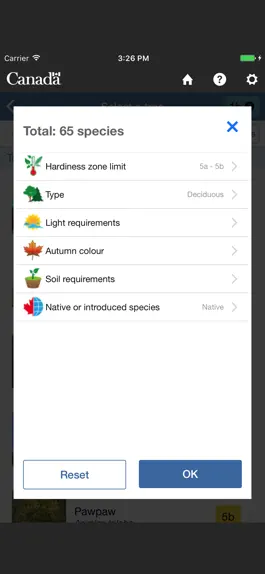 Game screenshot My Tree mod apk