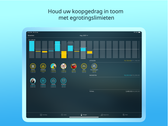 Money Pro: Geld en Budget iPad app afbeelding 1