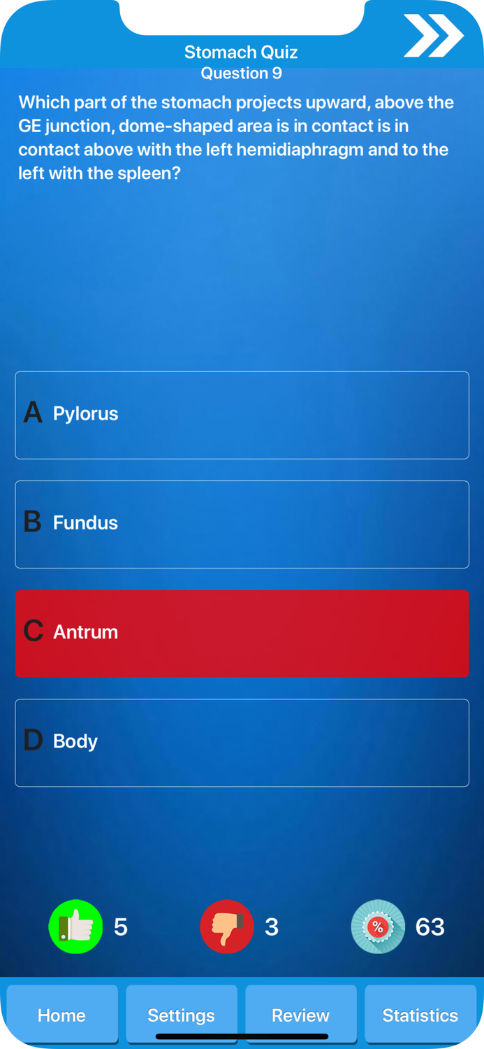 Digestive System Physiology