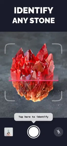 Game screenshot Crystal identifier. Rock guide mod apk