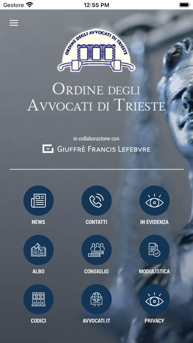 Ordine Avvocati Trieste Screenshot