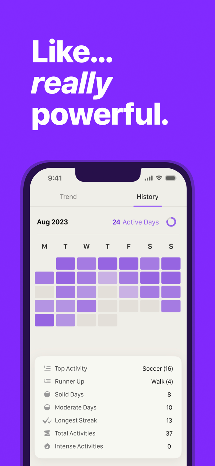 Steddy Stay Consistent
