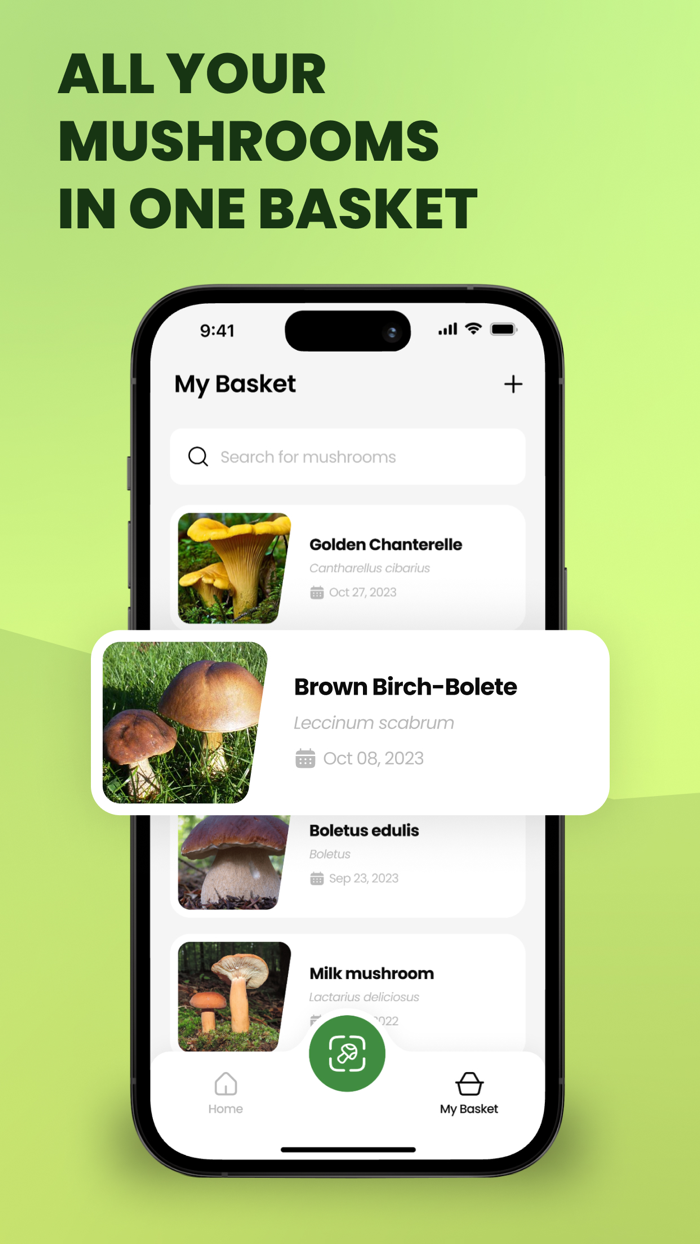 Mushroom Identifier Fungi ID