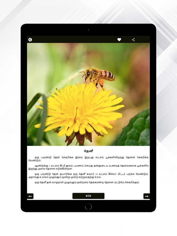 Theriyuma learn GK in Tamil iPad screenshot