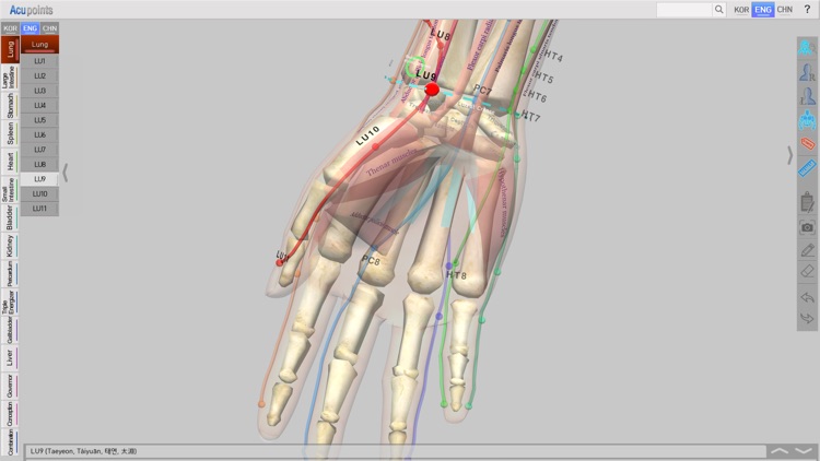 Acupoints for iOS screenshot-4