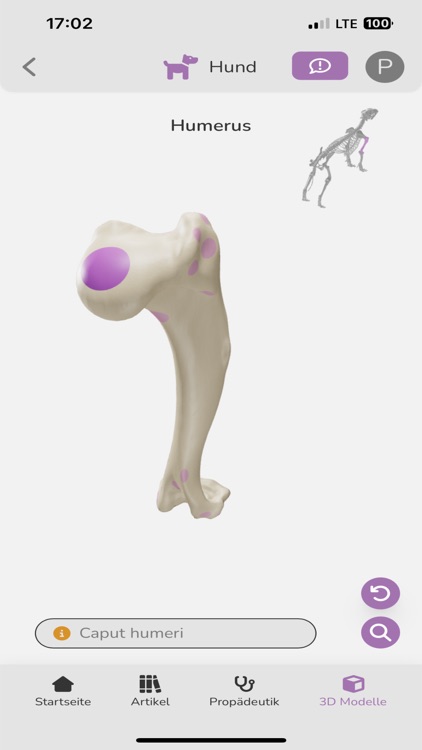 Vetflow - Learn Anatomy screenshot-5