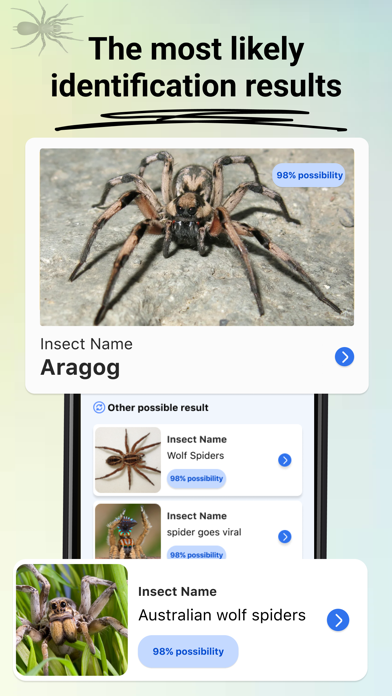 Insect Bug Identifier: Spider Screenshot