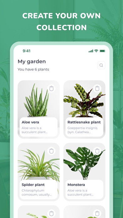 PlantID - Plant identifier++ Screenshot