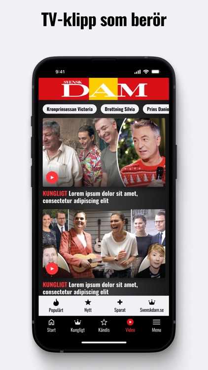 Svensk Dam screenshot-3