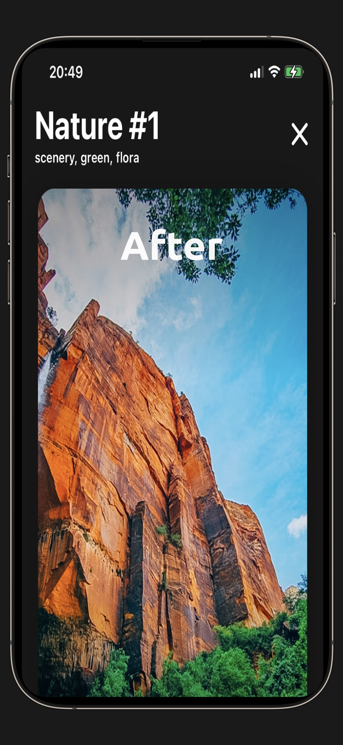 Photo Presets and Filters Pro