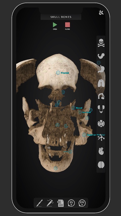 Virtual Medical Anatomy