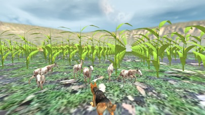 Shepherd Dog:Wild Animal Game Screenshot