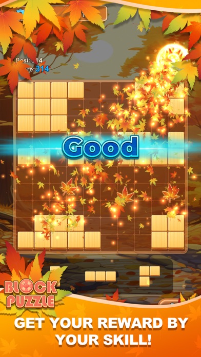 Block Puzzle: Maple Melody Screenshot