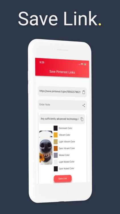 SavePin: Pinterest Video Saver