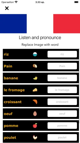 Game screenshot Learn French Quickly:Beginners hack