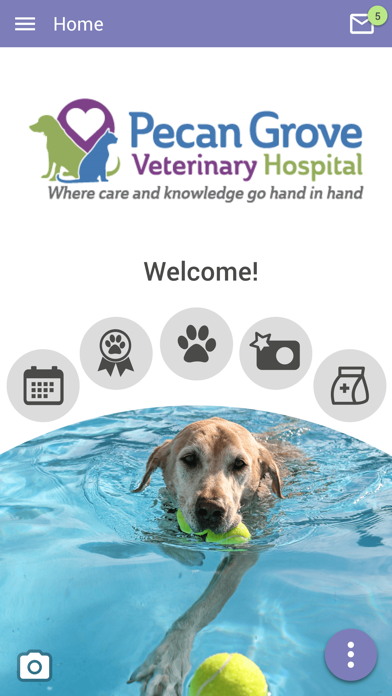 Pecan Grove Vet Screenshot