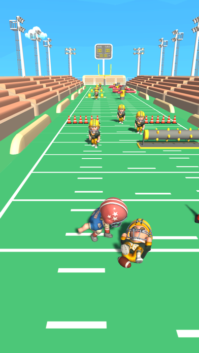 Wild Football! Screenshot