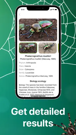 Game screenshot Insect Bug Spider Identifier hack