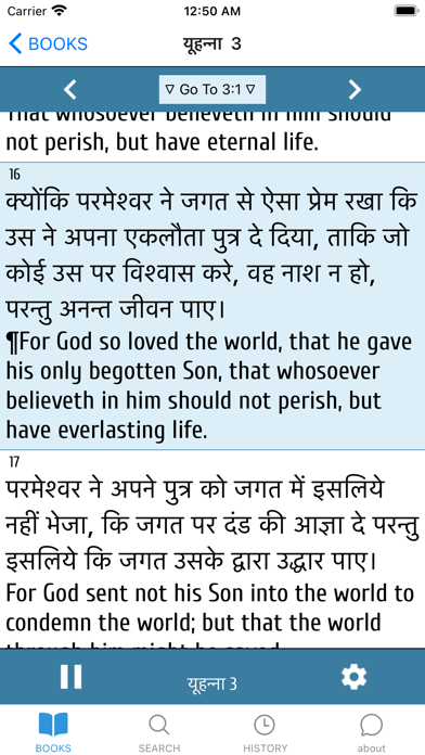 Mobile Hindi Bible Screenshot