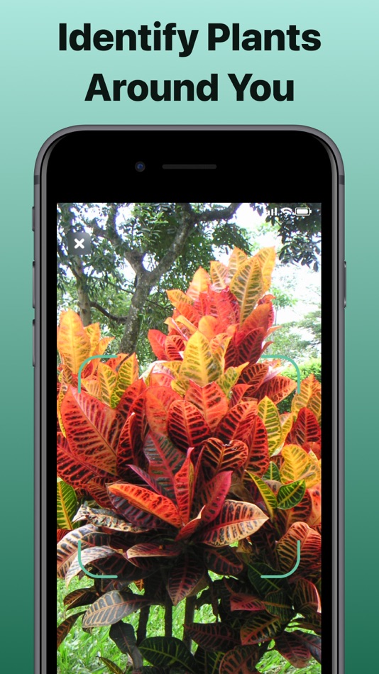 #1. LEAF AI: Snap, Identify Plants (iOS) Podle: Andrei Ivanou