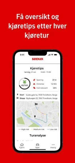 Game screenshot Tryg Sidekick hack