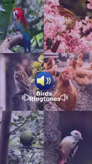 birds ringtones iphone screenshot 1
