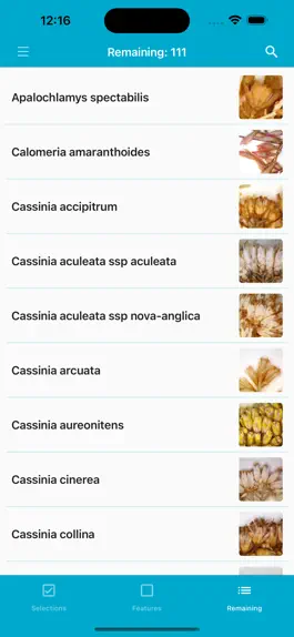 Game screenshot Key to the Cassinia group hack