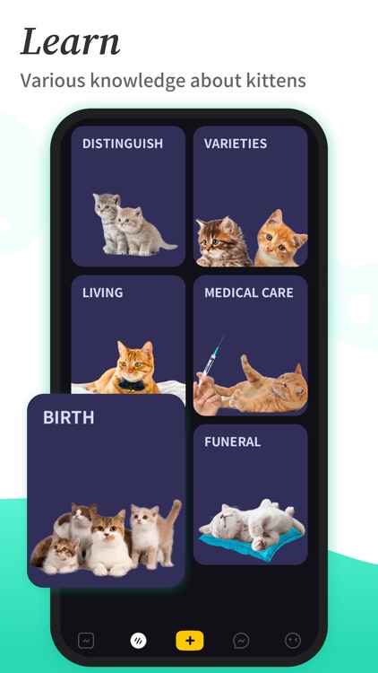 Purr-Beautiful Moments