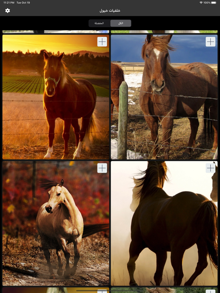 خلفيات خيول