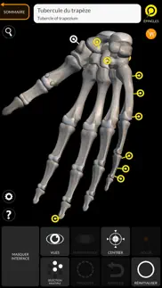 squelette anatomie 3d iPhone Captures Décran 4