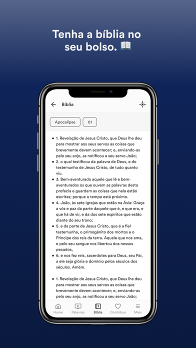 Igreja Apostólica Vida Nova Screenshot