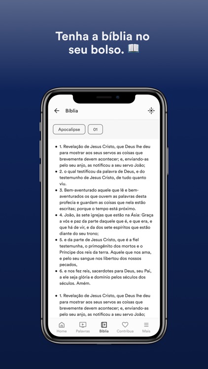 Igreja Apostólica Vida Nova