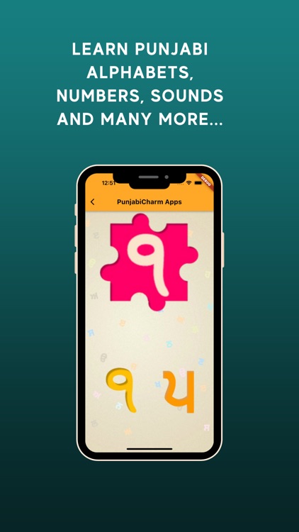 Learn Punjabi Puzzle for Kids screenshot-5